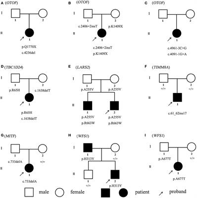 Genetic etiological analysis of auditory neuropathy spectrum disorder by next-generation sequencing